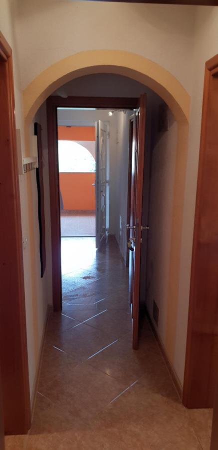 Apartmani Citrus Novigrad Filipac Εξωτερικό φωτογραφία