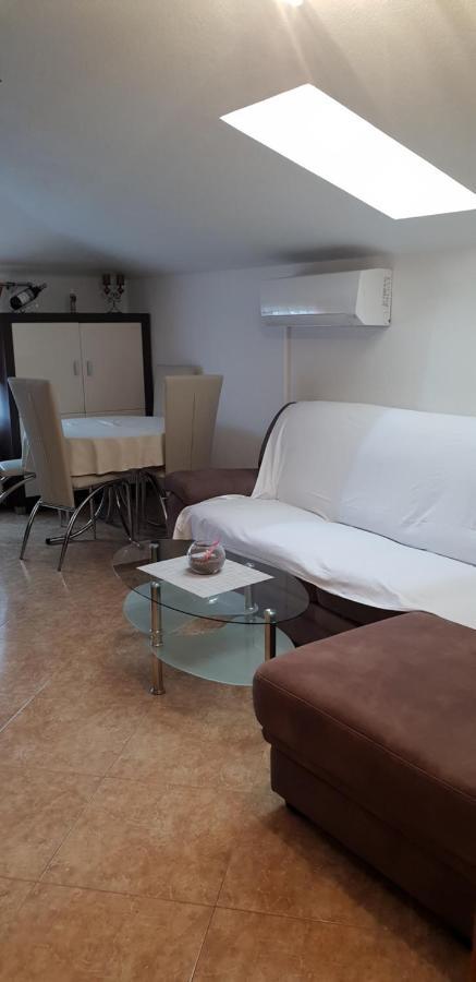 Apartmani Citrus Novigrad Filipac Εξωτερικό φωτογραφία