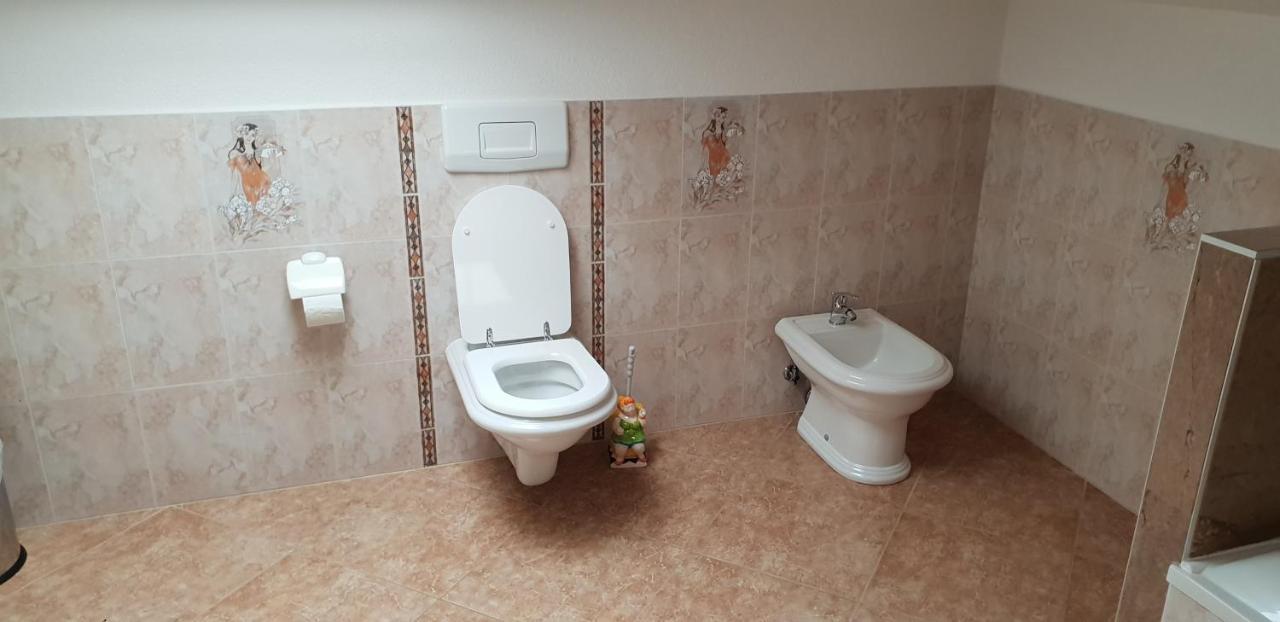Apartmani Citrus Novigrad Filipac Εξωτερικό φωτογραφία
