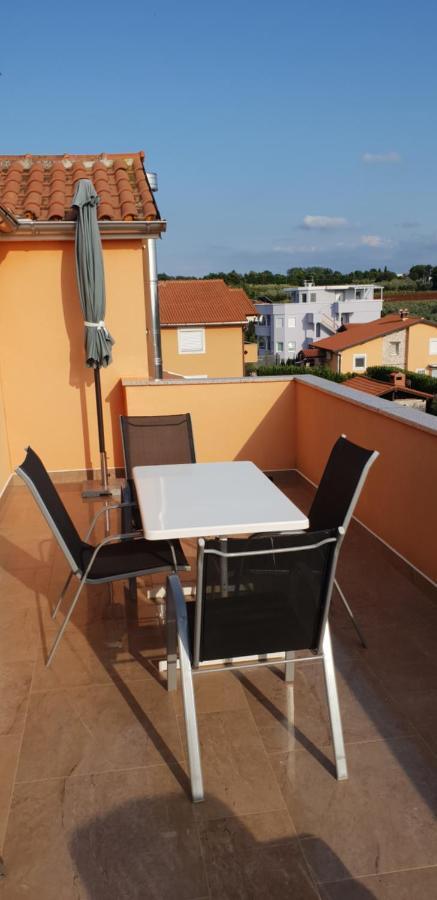 Apartmani Citrus Novigrad Filipac Εξωτερικό φωτογραφία