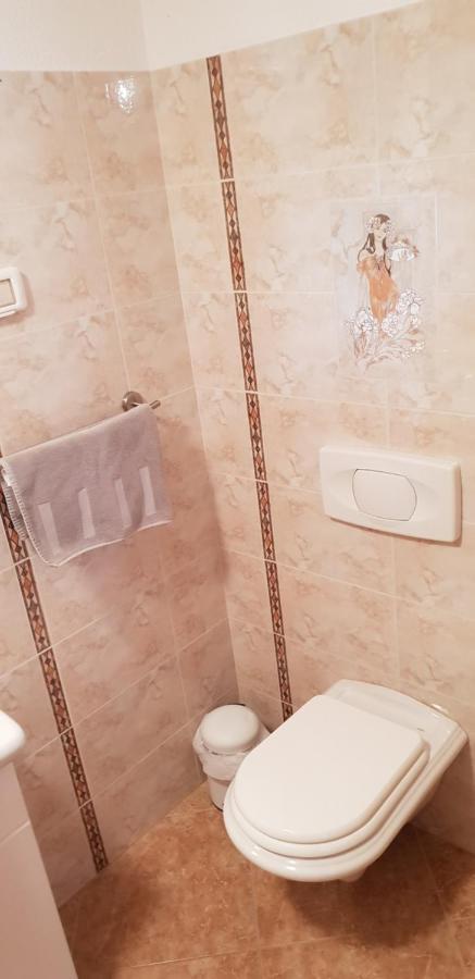 Apartmani Citrus Novigrad Filipac Εξωτερικό φωτογραφία