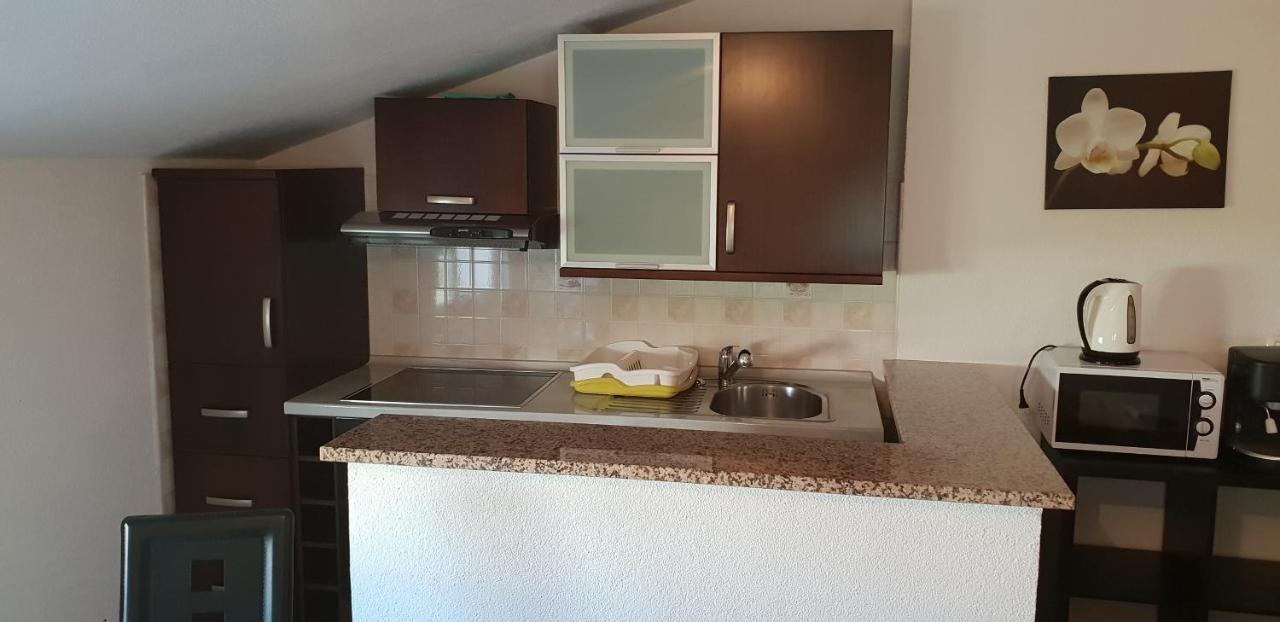 Apartmani Citrus Novigrad Filipac Εξωτερικό φωτογραφία