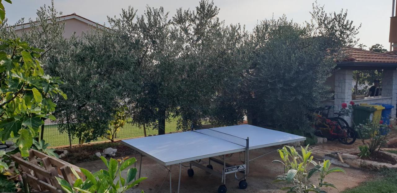 Apartmani Citrus Novigrad Filipac Εξωτερικό φωτογραφία