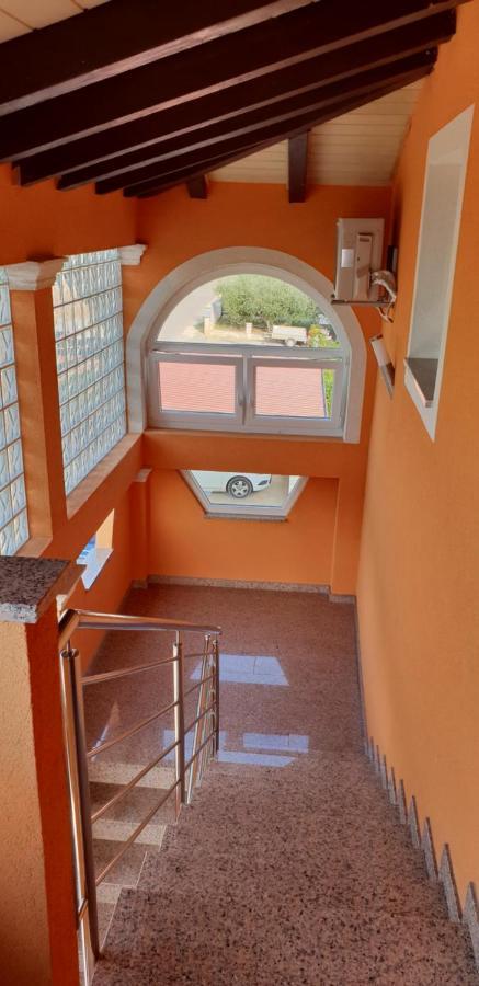 Apartmani Citrus Novigrad Filipac Εξωτερικό φωτογραφία