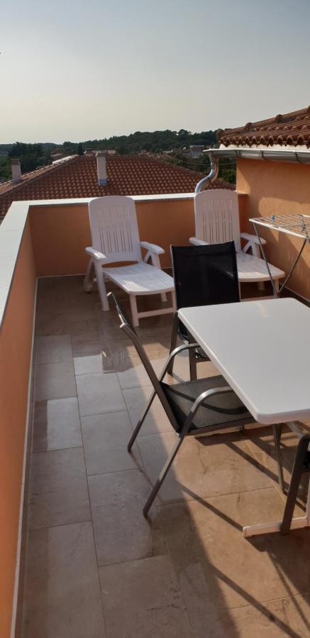 Apartmani Citrus Novigrad Filipac Εξωτερικό φωτογραφία