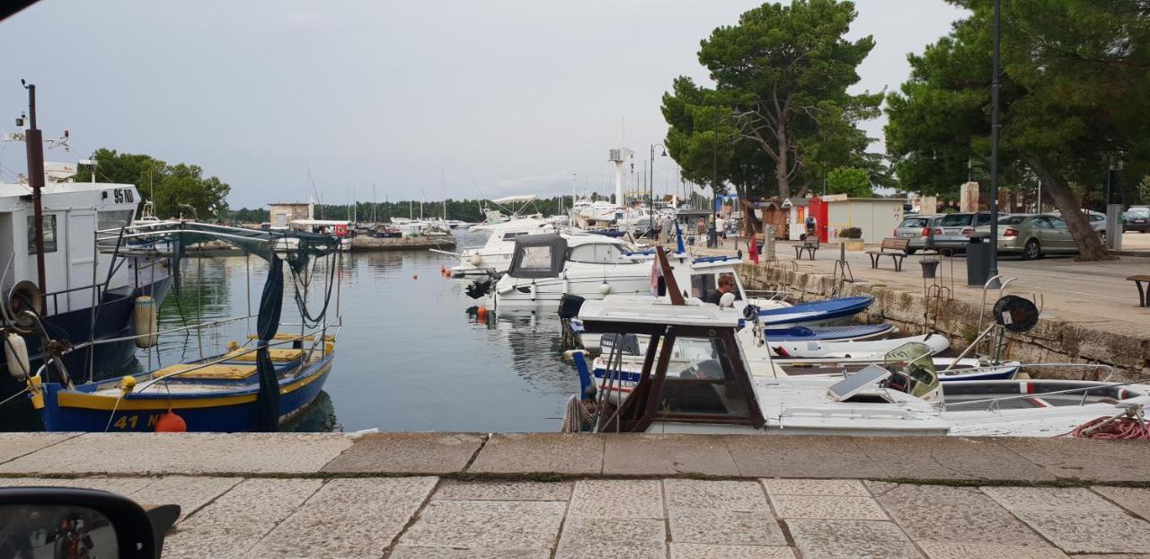 Apartmani Citrus Novigrad Filipac Εξωτερικό φωτογραφία
